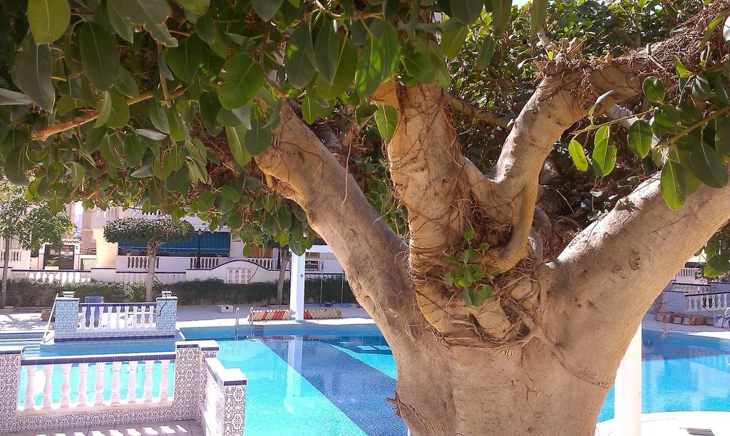 Apartament La Mata Vinamar Zewnętrze zdjęcie